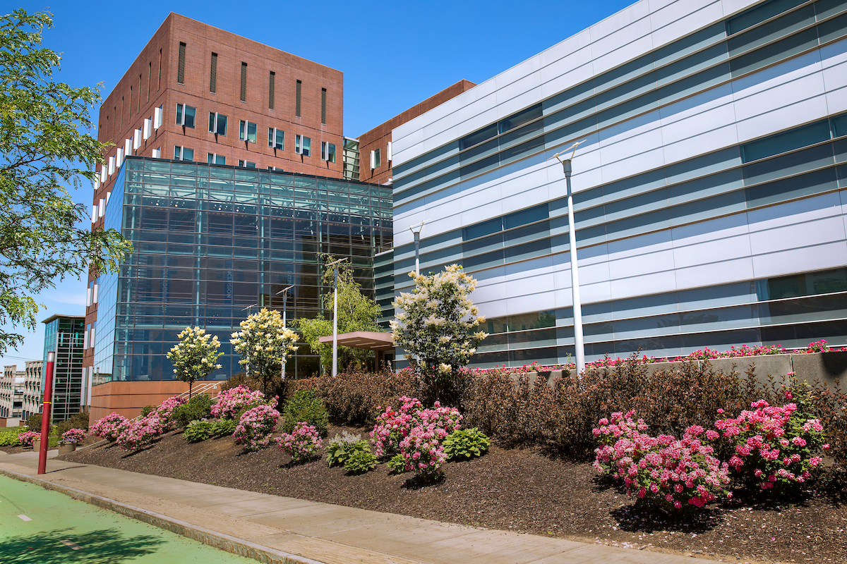 Whitman School of Management surrounded by blooming flowers and trees on a Summer afternoon.